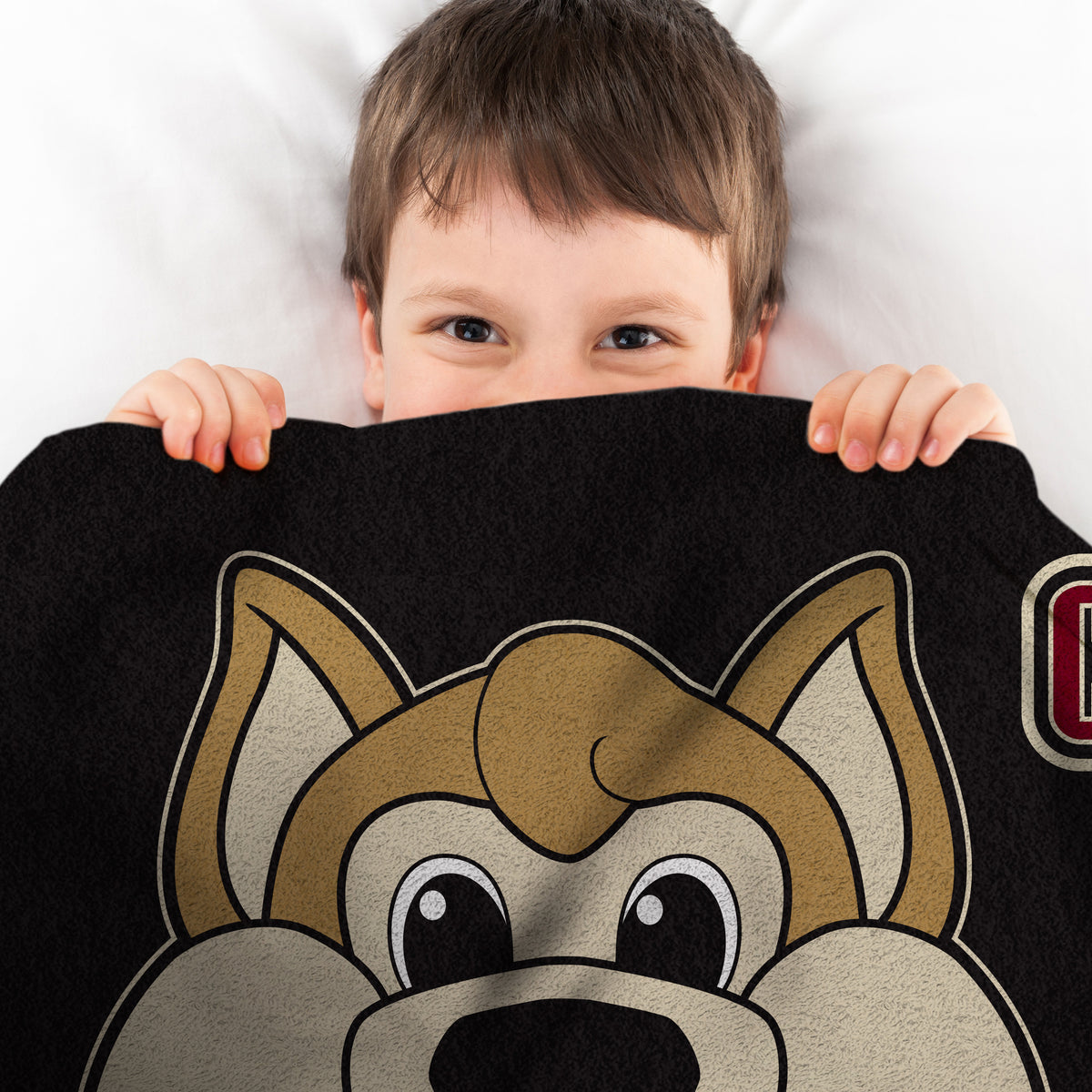 Arizona Coyotes Howler Mascot 60” x 80” Raschel Plush Blanket